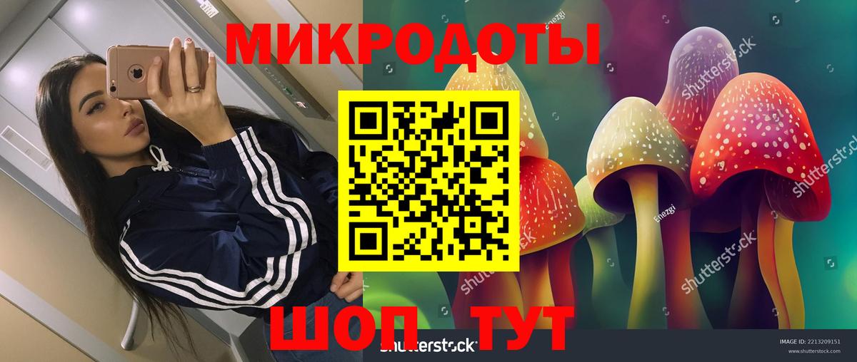 Зеленодольск  купить наркоту  Вход с VPN  Псилоцибиновые грибы прущие грибы 