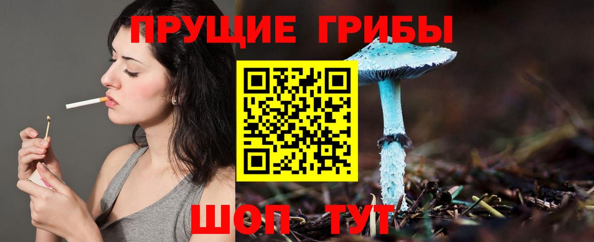 Псилоцибиновые грибы ЛСД Зеленодольск